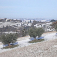 Le Piagge Agriturismo Gallery